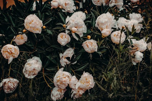 Comprendre le coût des matériaux dans un devis