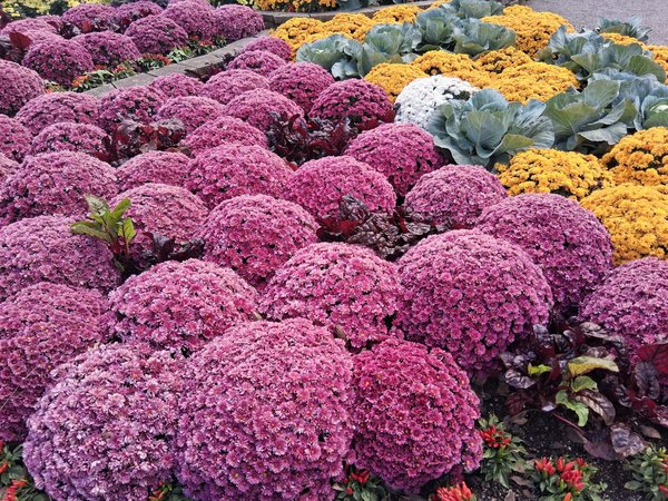 Tasses amitié : un cadeau qui rapproche vos proches